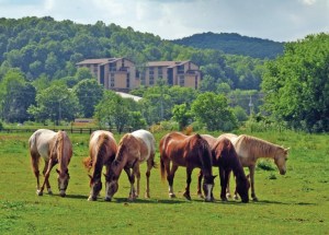 Hocking-College-Photo